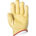 Gloves Against Cold